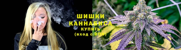 сатива Абаза