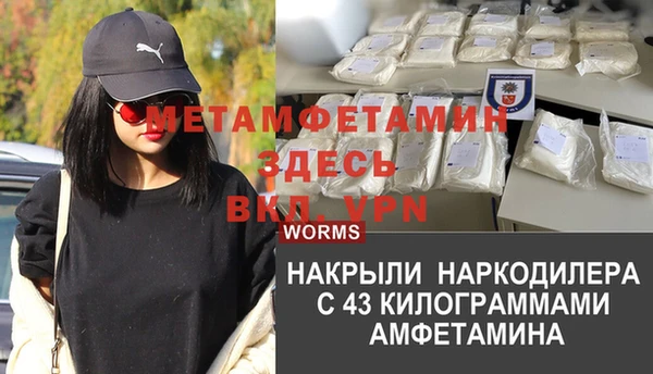 сатива Абаза