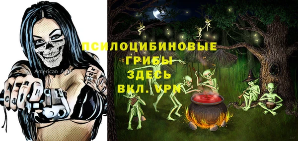сатива Абаза